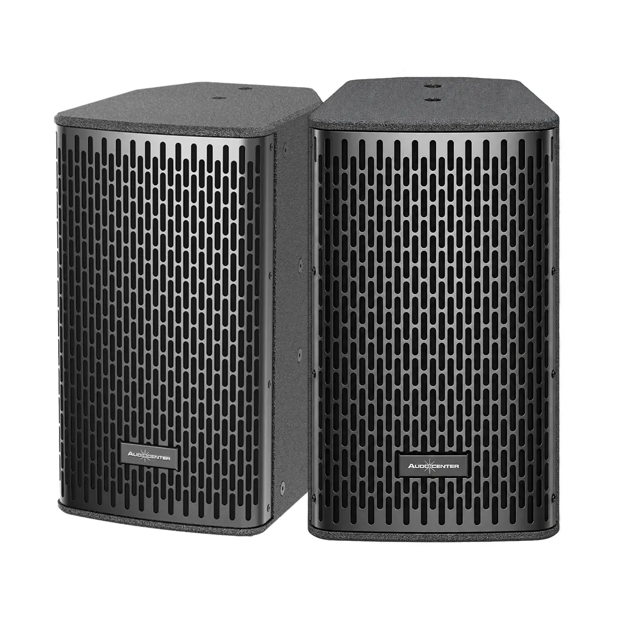 Loa Audiocenter DS08