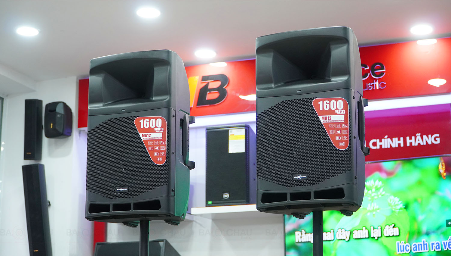 Loa Audiocenter MA12