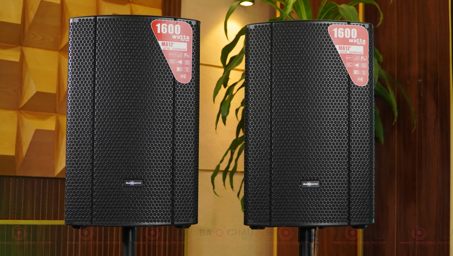 Loa Audiocenter MA12+