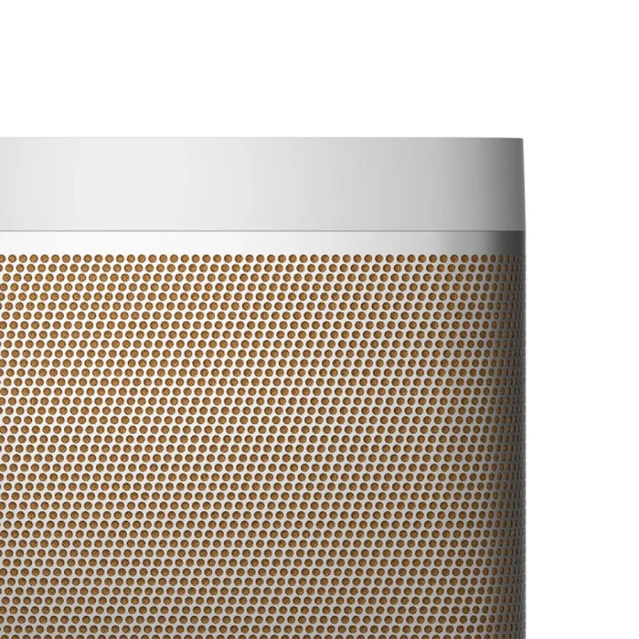 Loa B&O Beolit 20 Gold-3