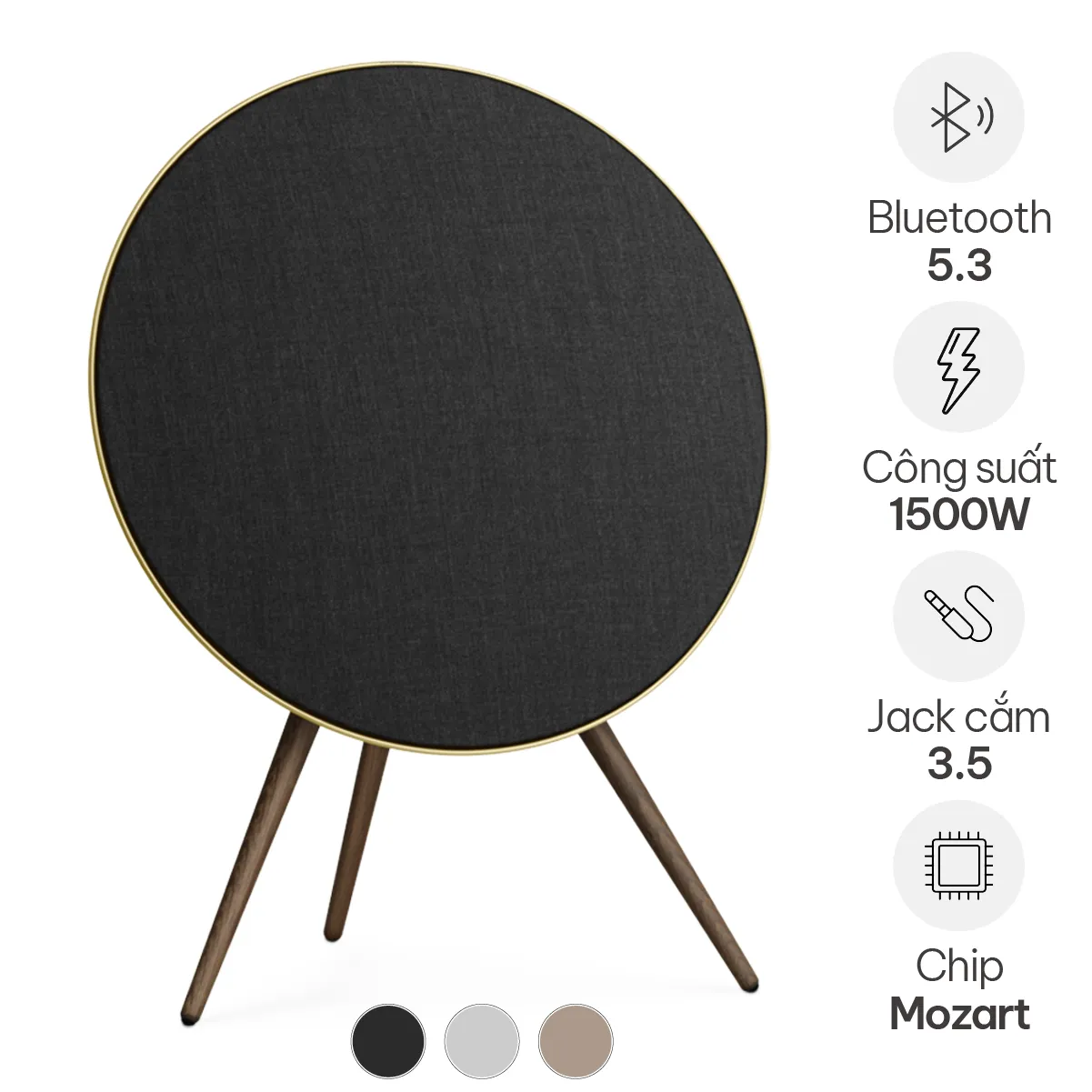 Loa B&O Beosound A9 MK5