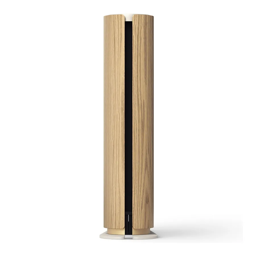 Loa B&O Beosound Emerge-2
