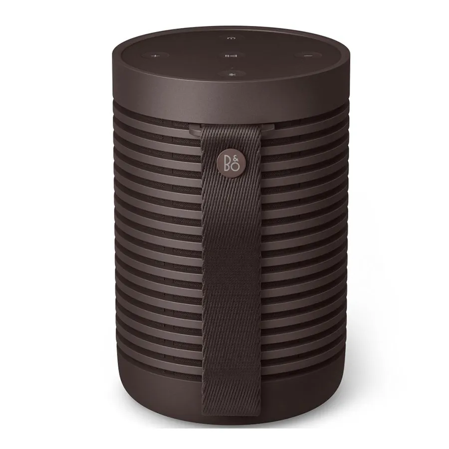 Loa B&O Beosound Explore Chestnut