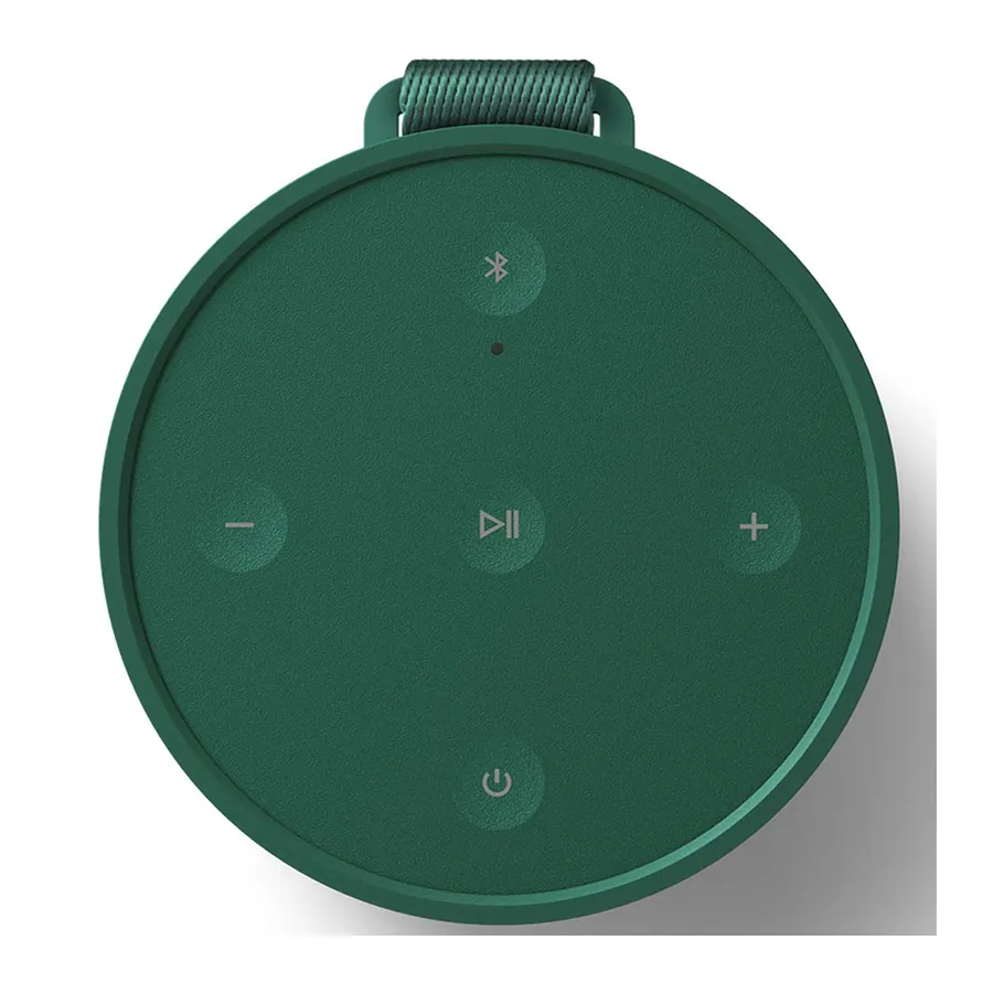 Loa B&O Beosound Explore Green-3