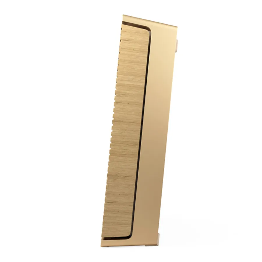 Loa B&O Beosound Level Gold Tone-4