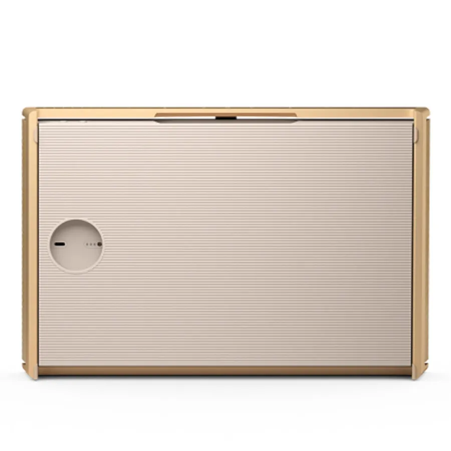 Loa B&O Beosound Level Gold Tone-5