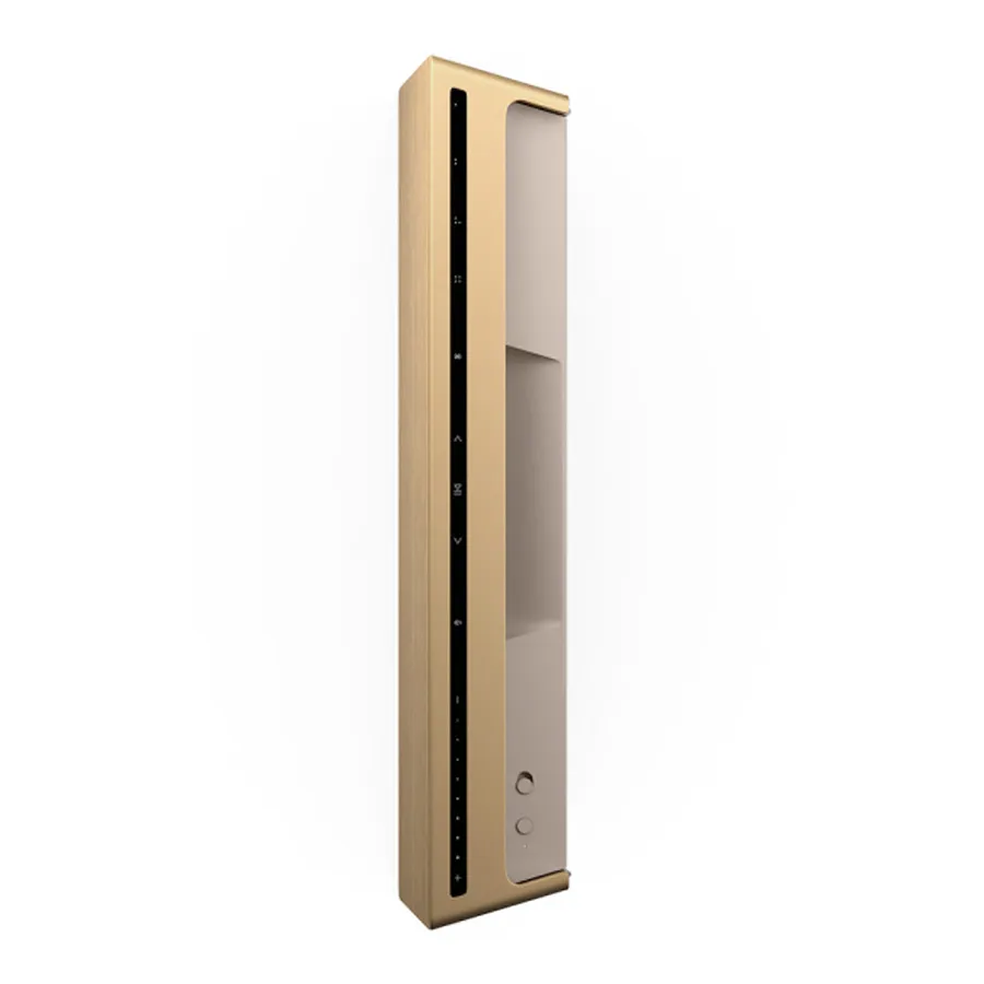 Loa B&O Beosound Level Gold Tone-3