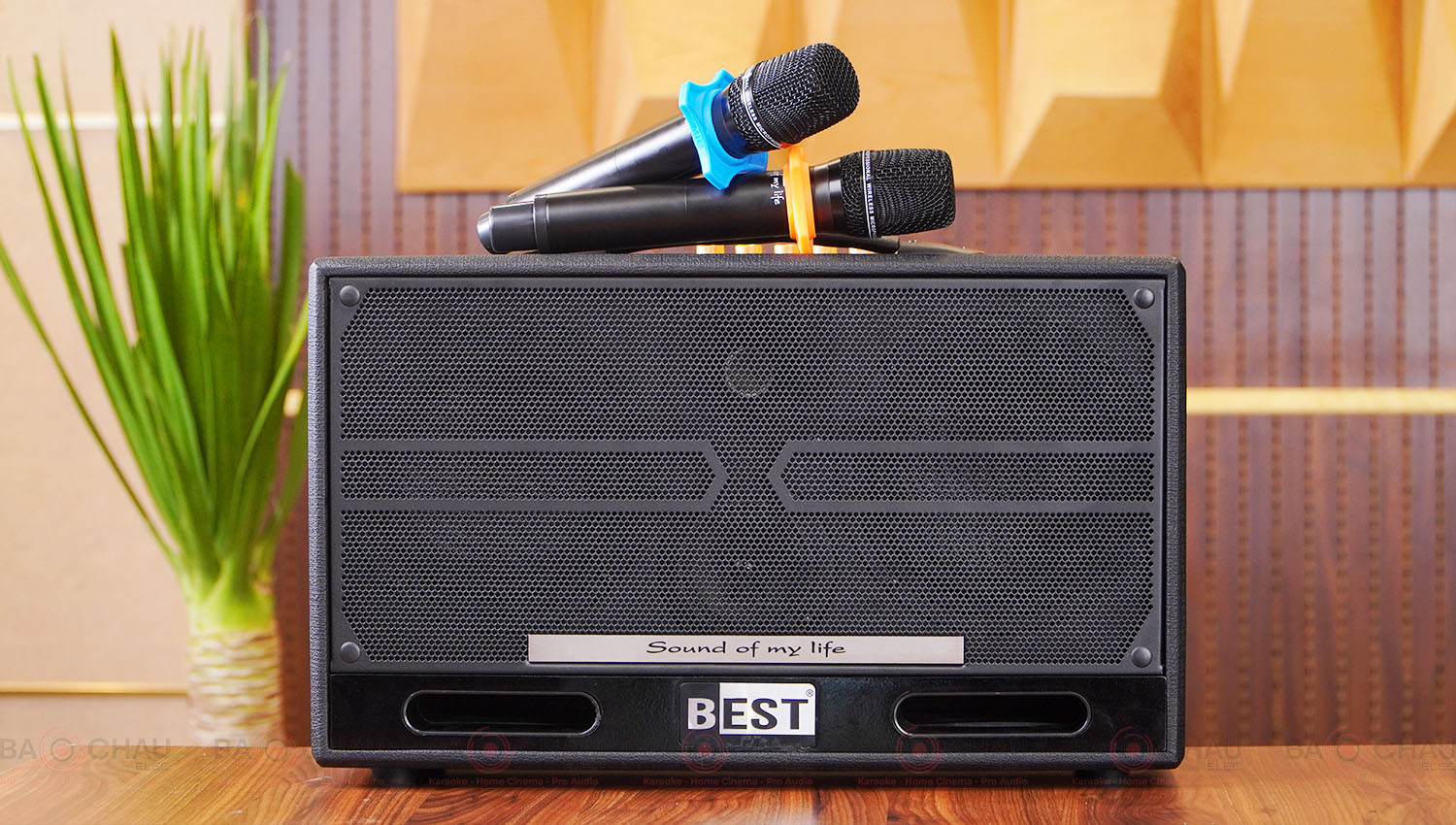Loa Best S16 Pro