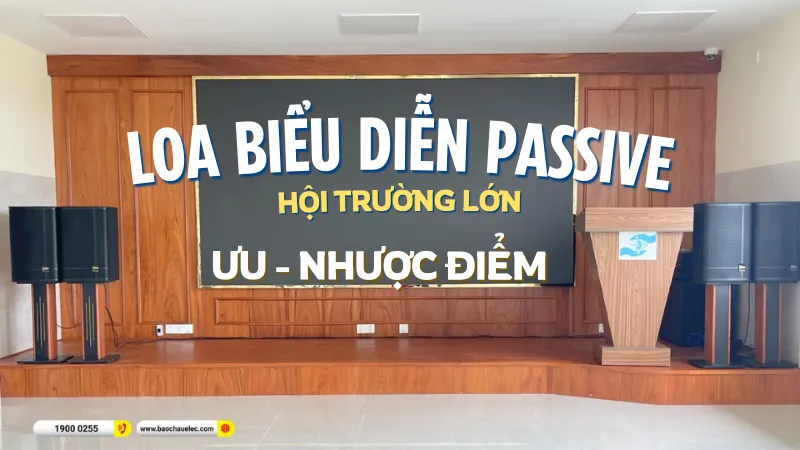 Loa Biểu Diễn Passive Hội Trường Lớn - Ưu Nhược Điểm Cần Biết Trước Khi Đầu Tư