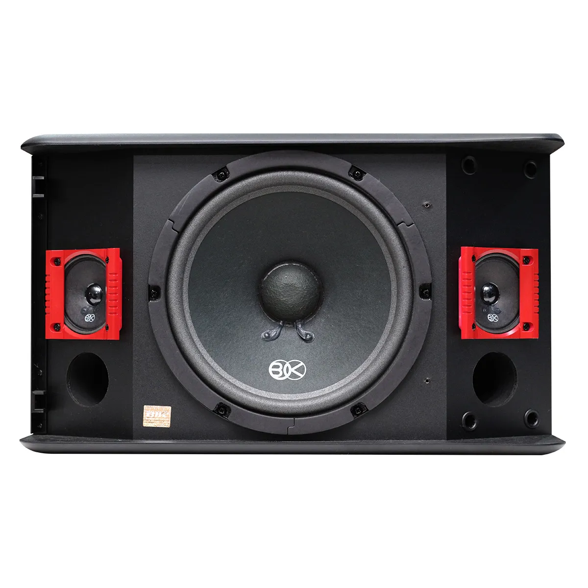 Loa karaoke Nhật BIK BJ S886II