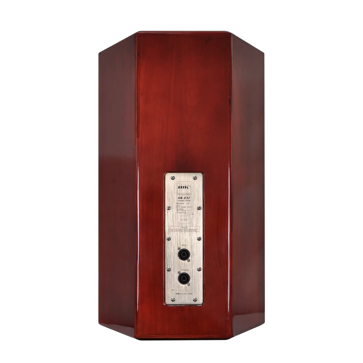 Loa BIK BK-G12 (Full bass 30cm) - Hình 5
