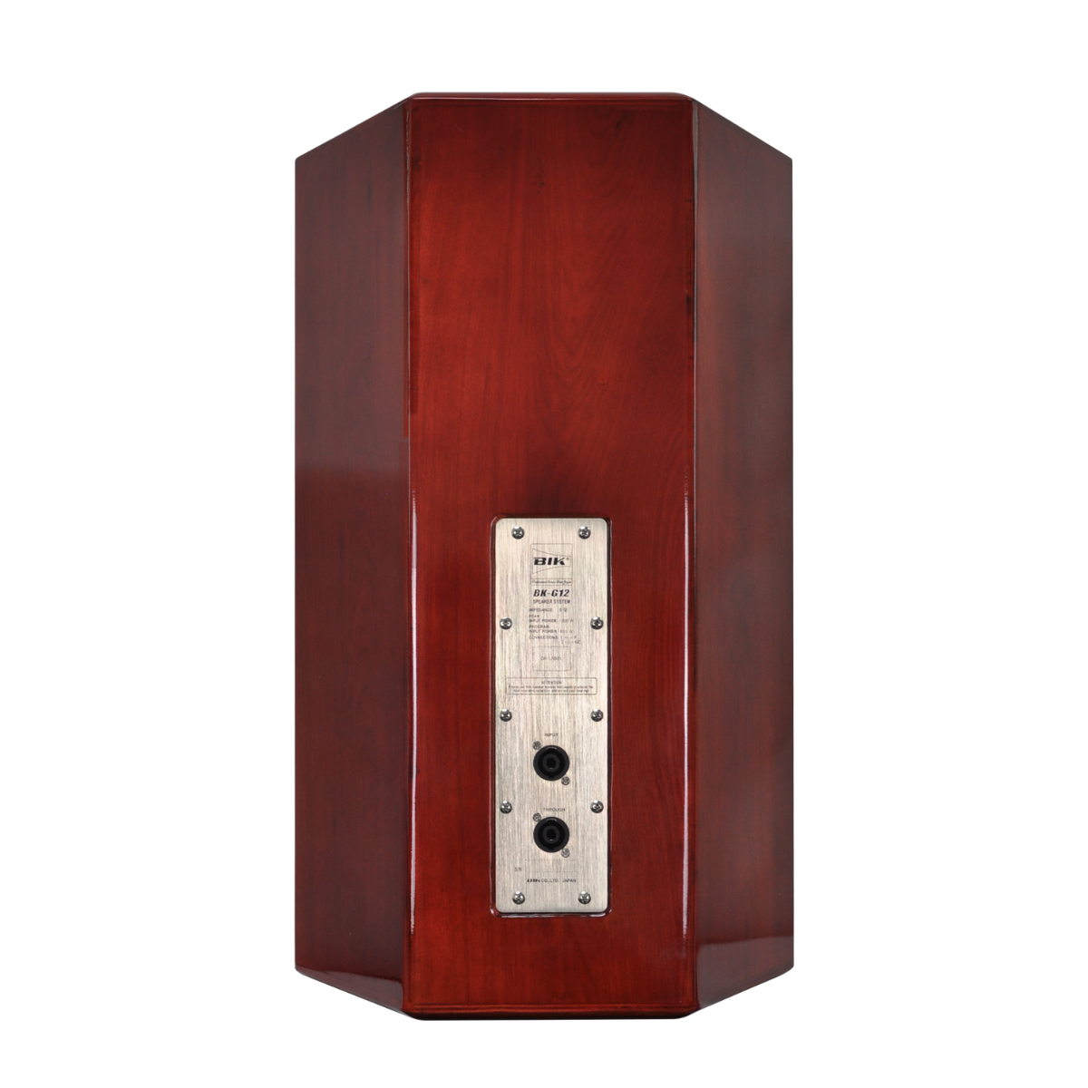 Loa BIK BK-G12 (New 2025- Full bass 30cm) - Hình 4