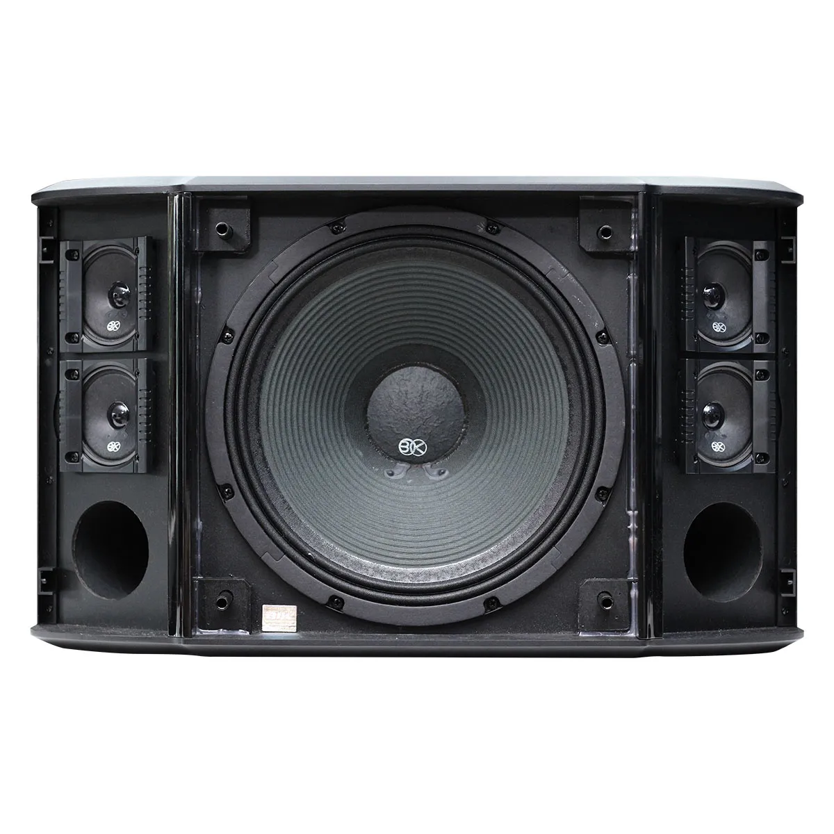 Loa karaoke Nhật BIK BS 999X