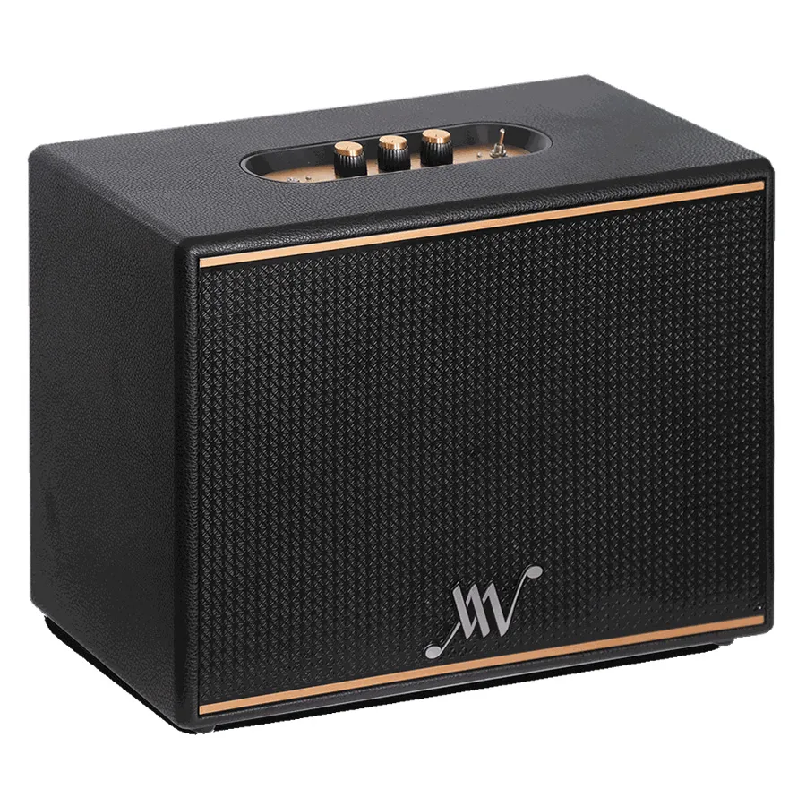 Loa Alpha Works Classic V100 Black