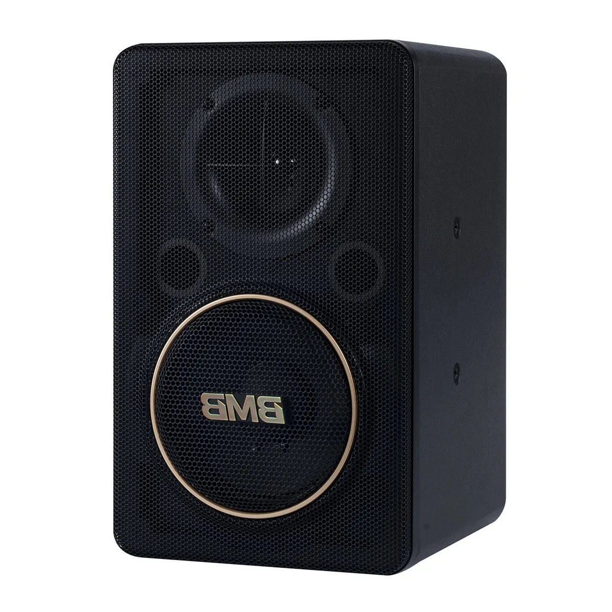 Loa BMB CSJ-06 SE