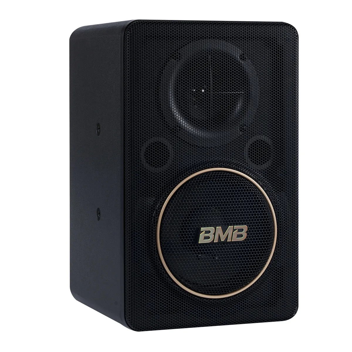 Loa BMB CSJ-06 SE