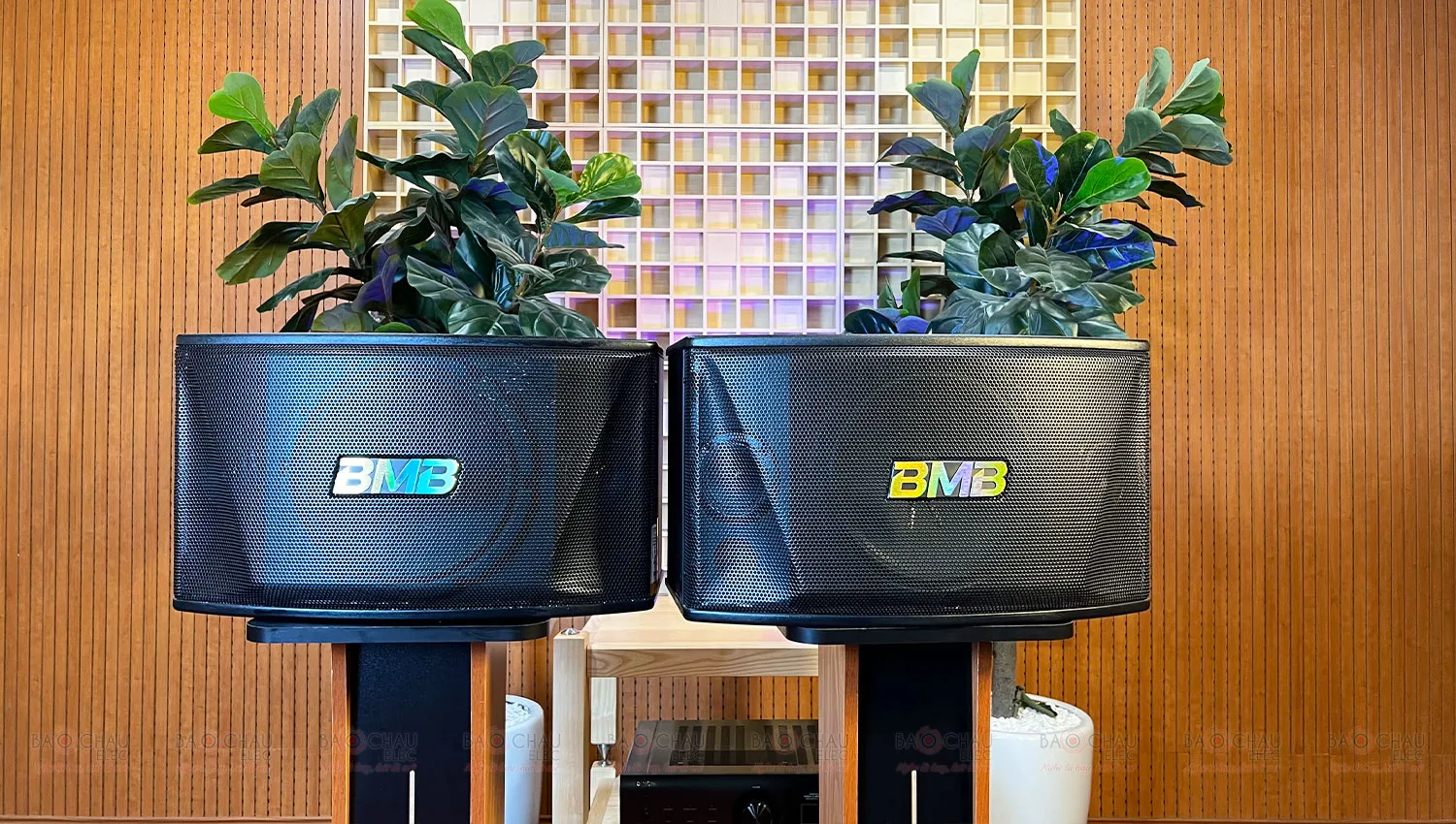 Loa BMB CSN 510