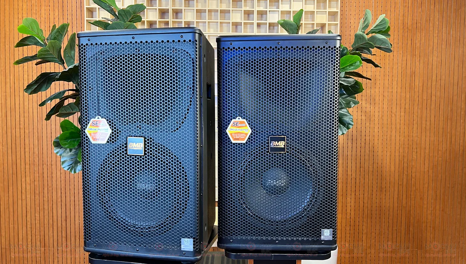 Loa Karaoke BMB CSS 1210SE (Pro, Full Bass 25cm)