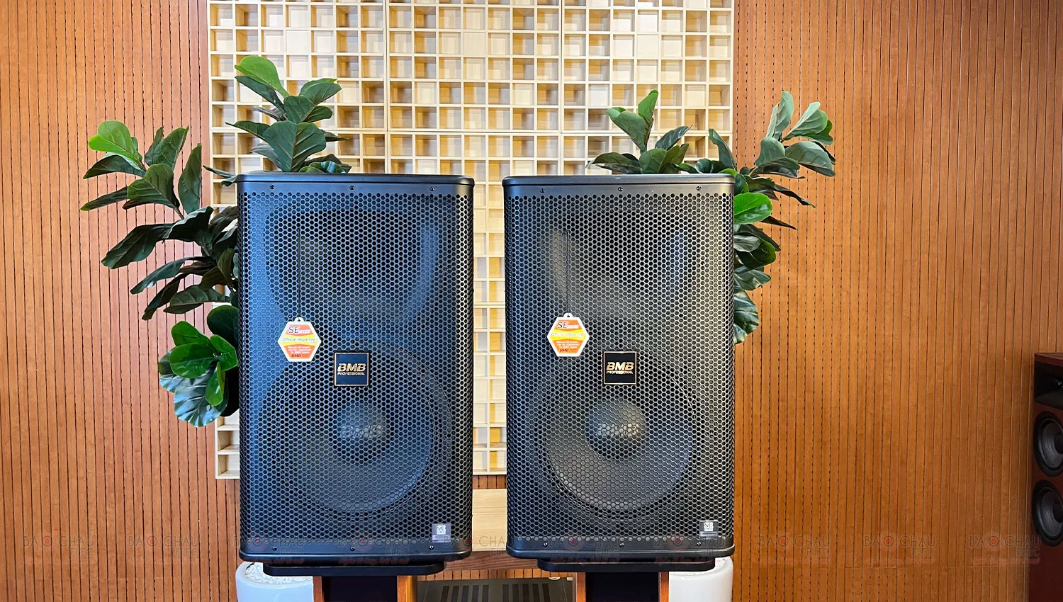 Loa BMB CSS 1212SE