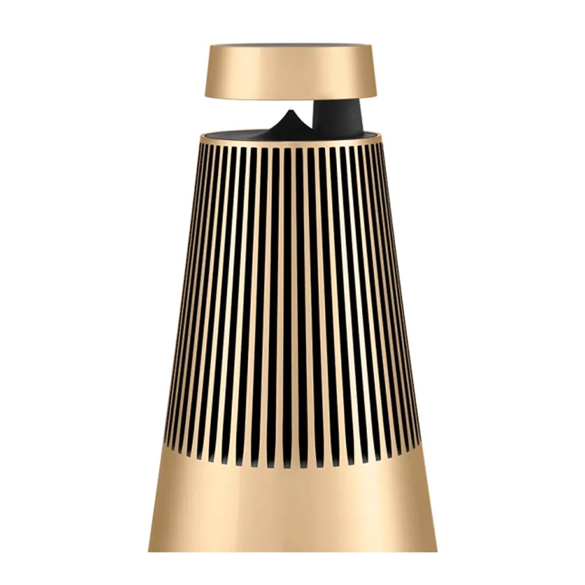 Loa B&O BeoSound 2