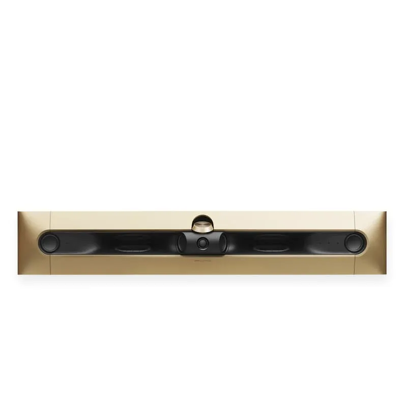 loa B&O Beosound Premiere