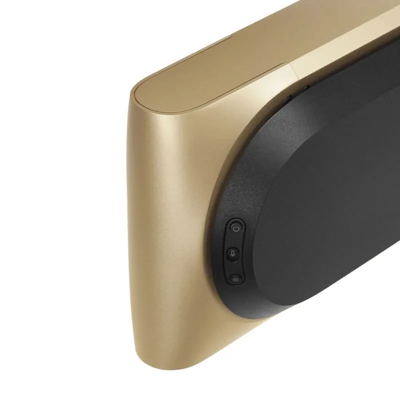 loa B&O Beosound Premiere