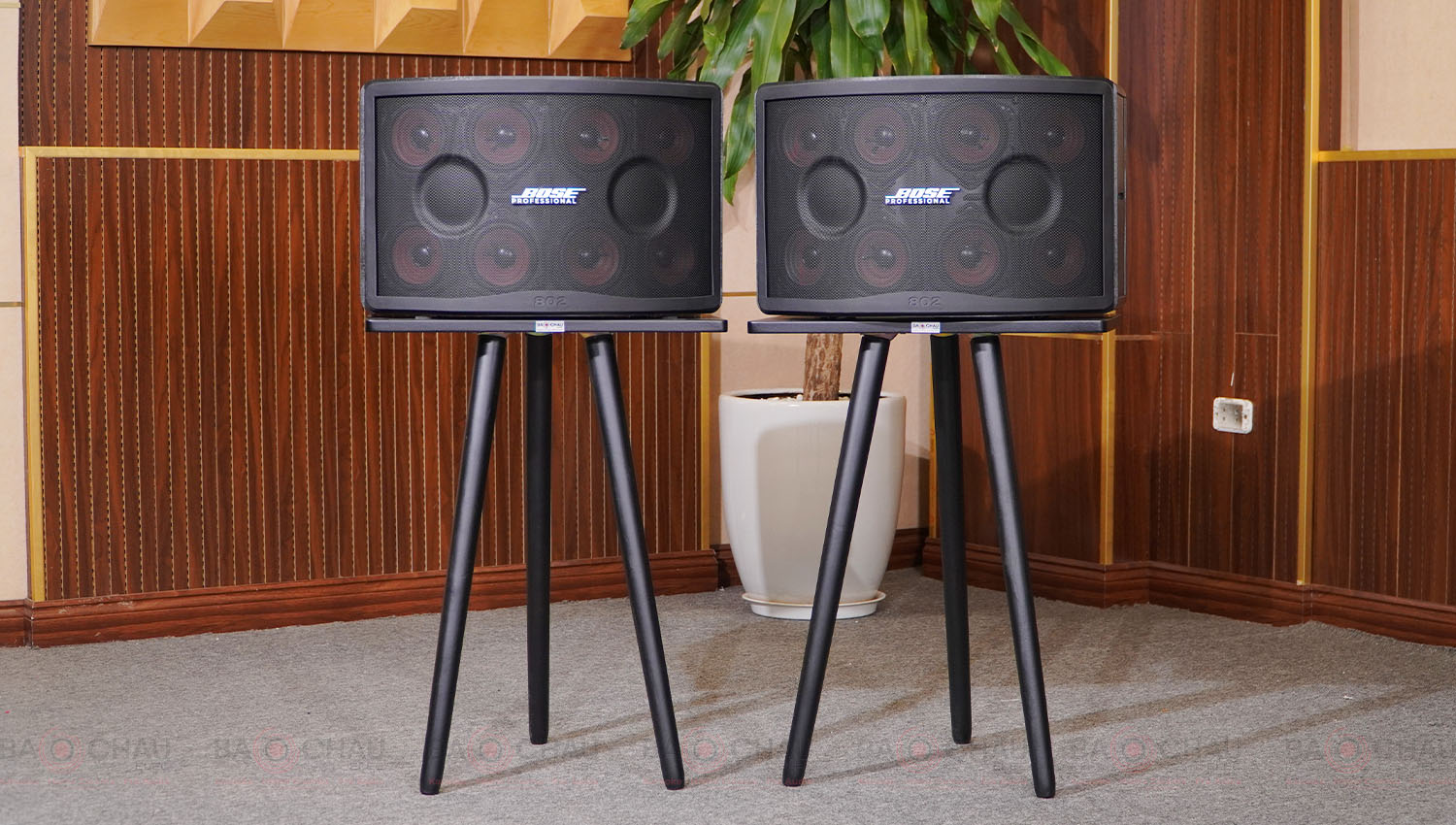 Loa Bose 802 Seri V