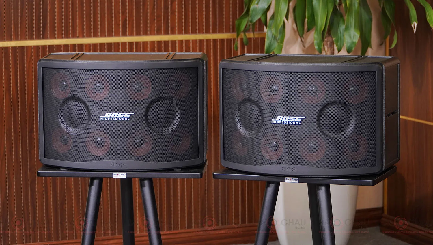 Loa Bose 802 Seri V