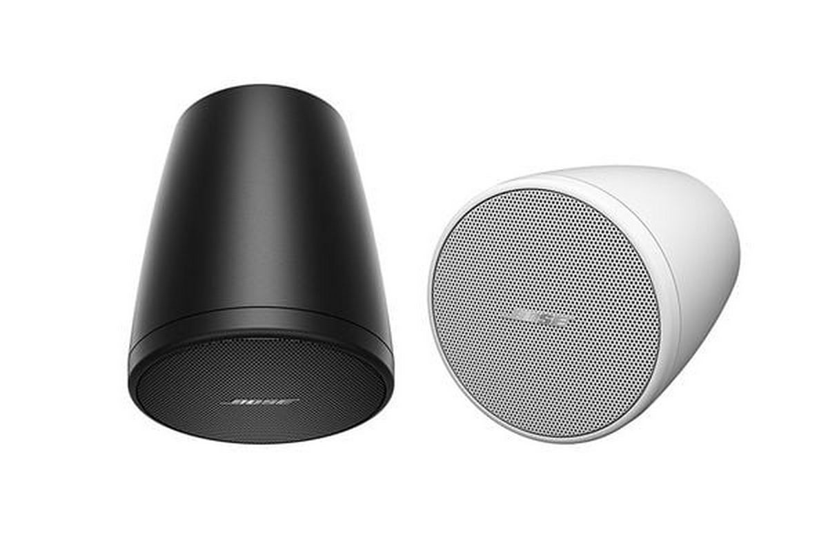 Loa Bose DesignMax DM3P