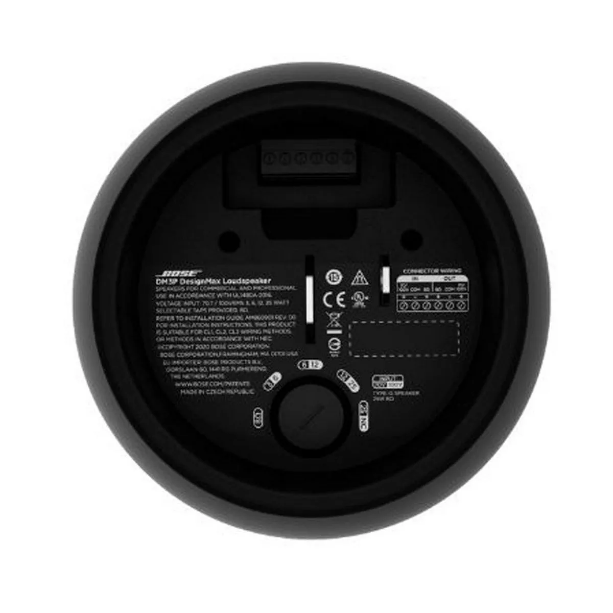 Loa Bose DesignMax DM3P