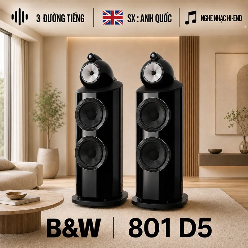 Loa B&W 801 D5