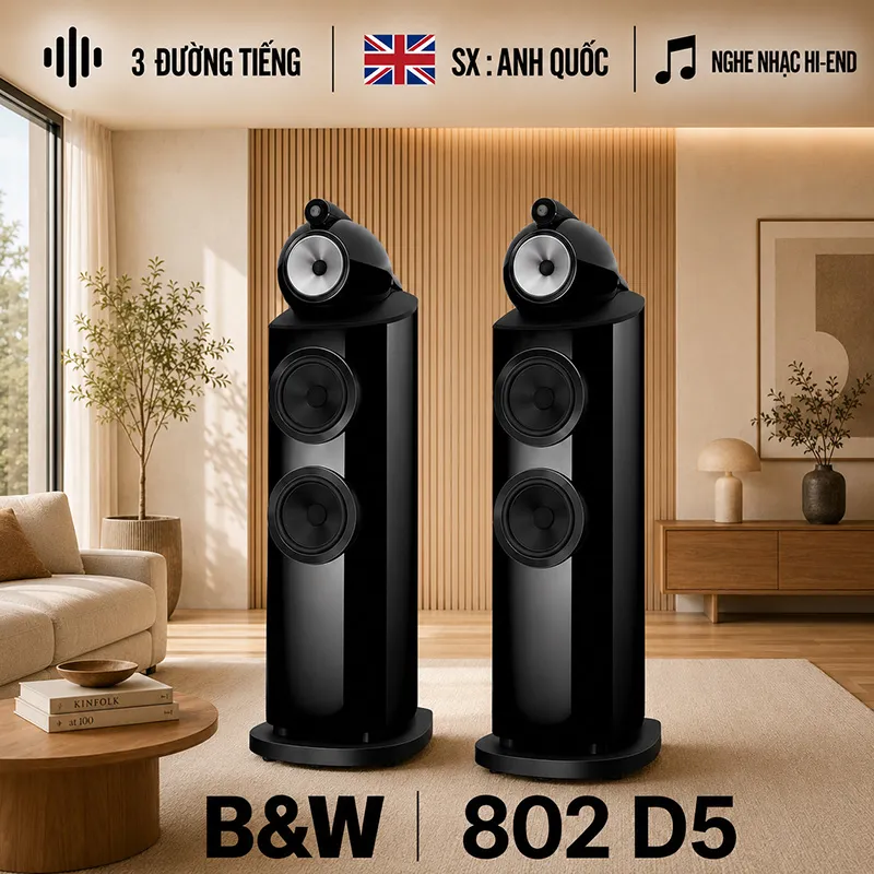 Loa B&W 802 D5