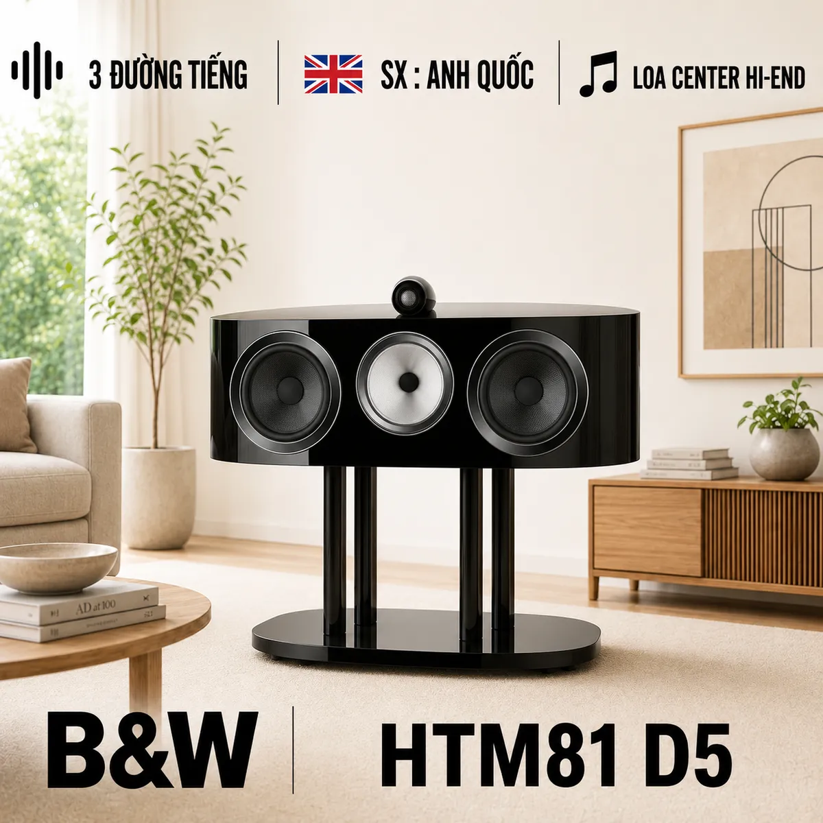 Loa B&W HTM81 D5
