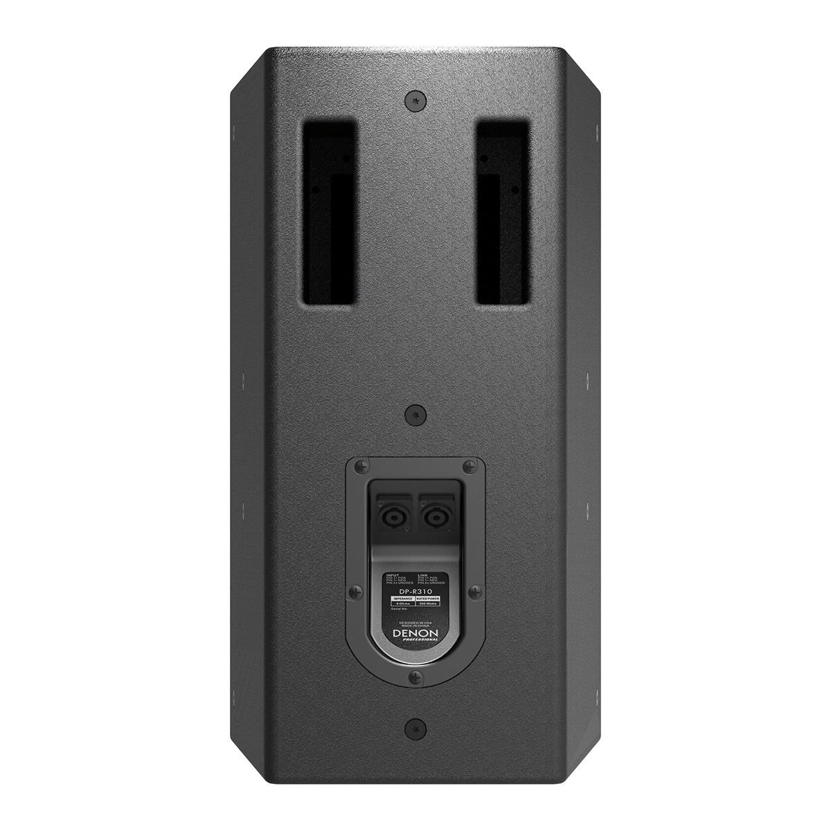 Loa Denon DP-R310