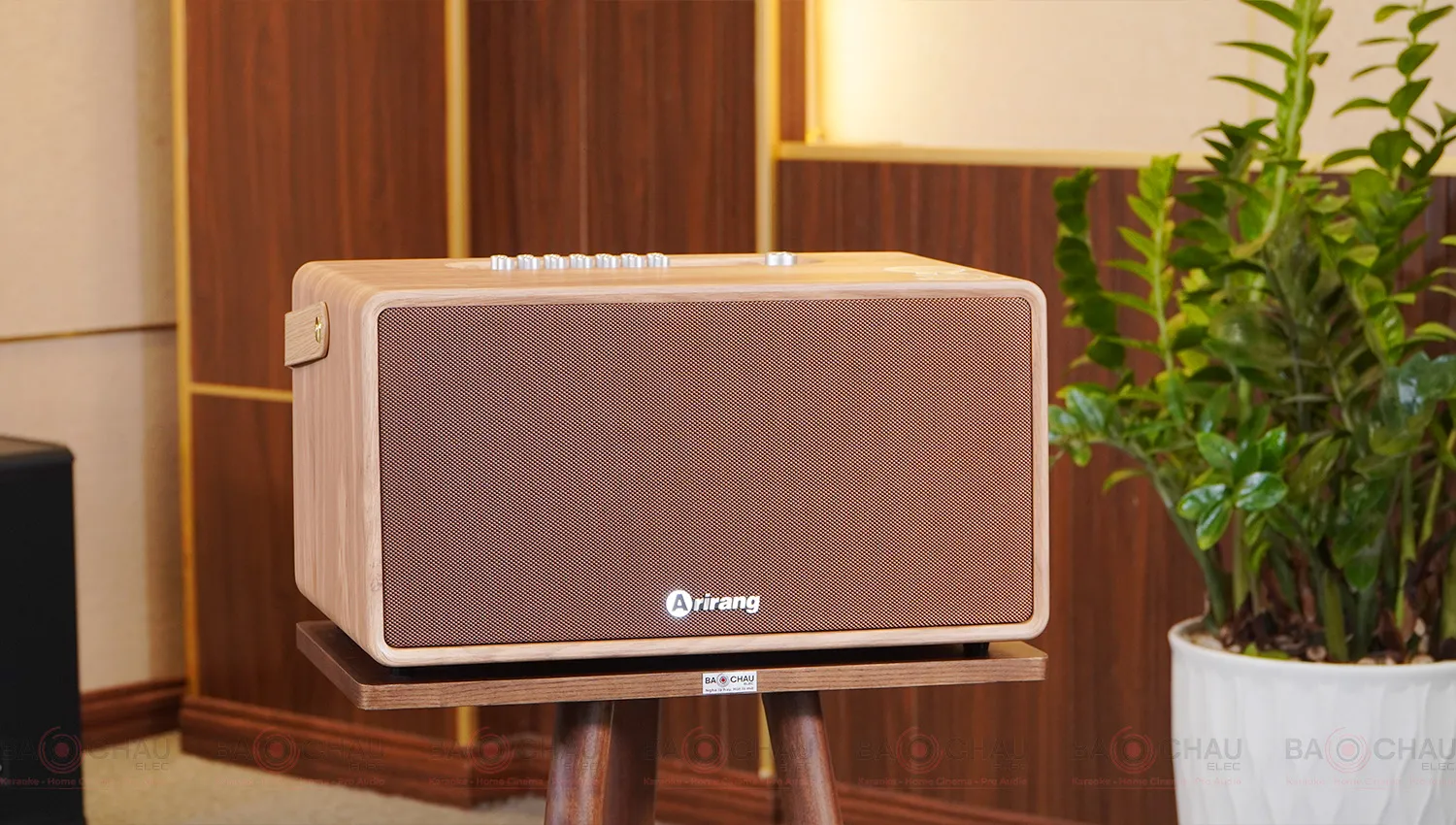 Loa Arirang MB2iw
