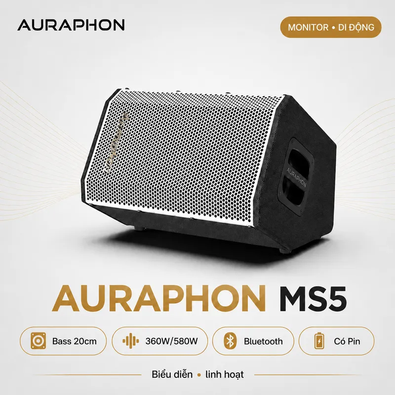 Loa di động Auraphon MS5 (Bass 20cm, 360W/580W, Bluetooth, Có Pin)