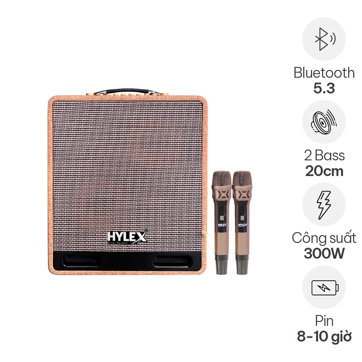 Loa di động Hylex PA55MK