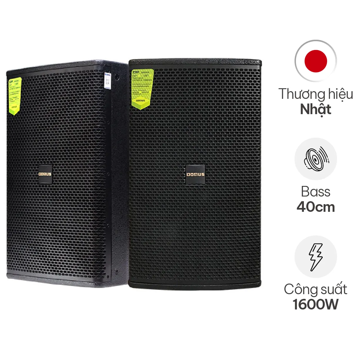 Loa karaoke Domus DP 6150