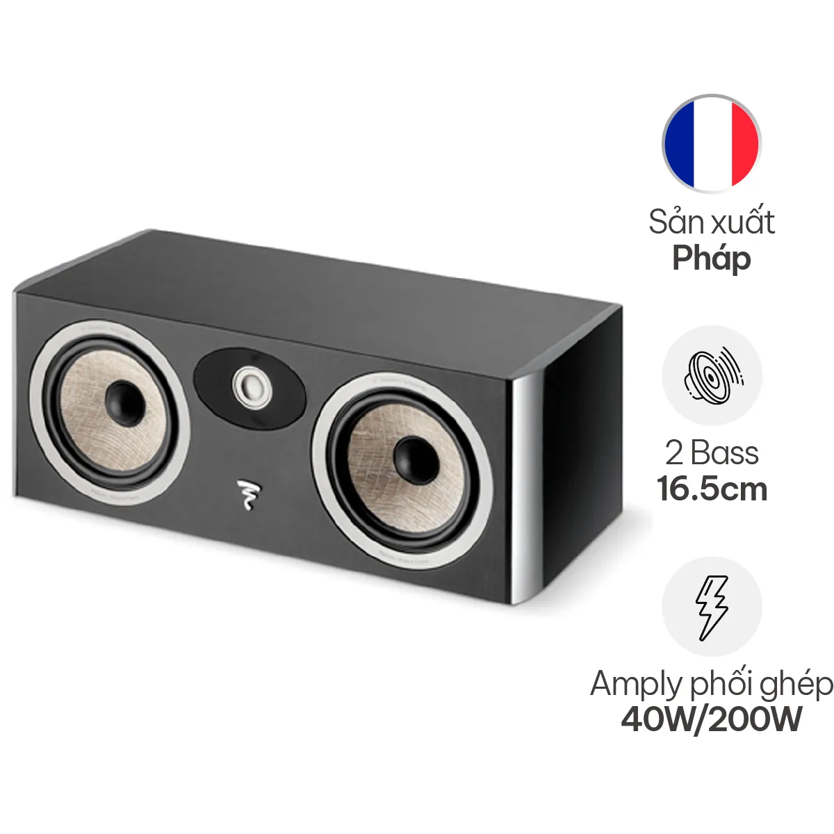 Loa Focal Center Aria CC 900