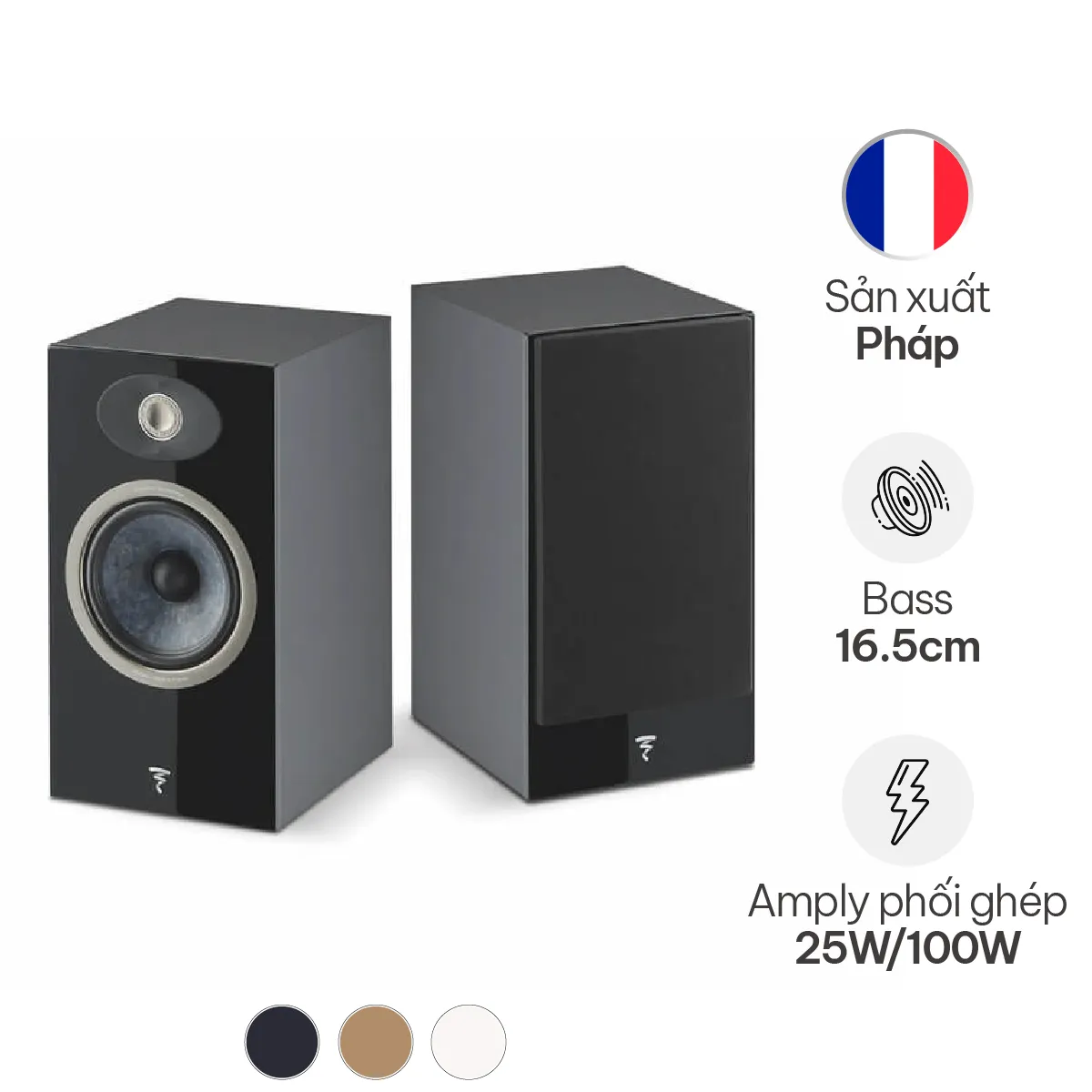 Loa Focal Theva N1