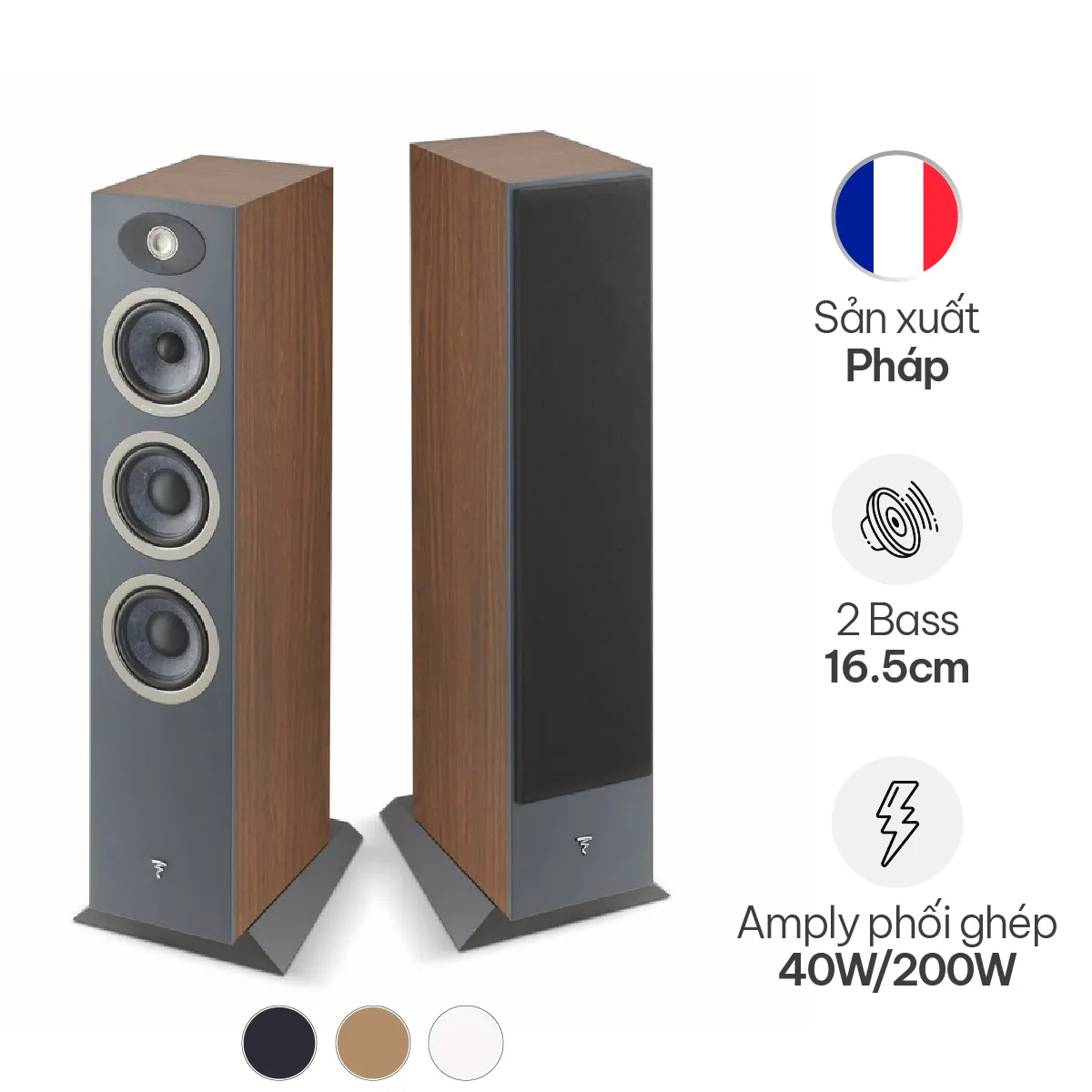 Loa Focal Theva N2