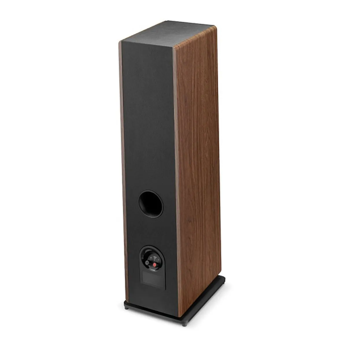 Loa Focal Theva N2