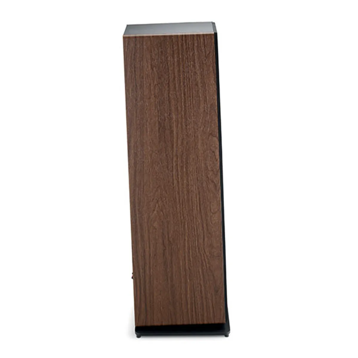 Loa Focal Vestia No3 dark wood