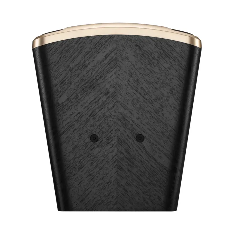 Loa JBL D Mini