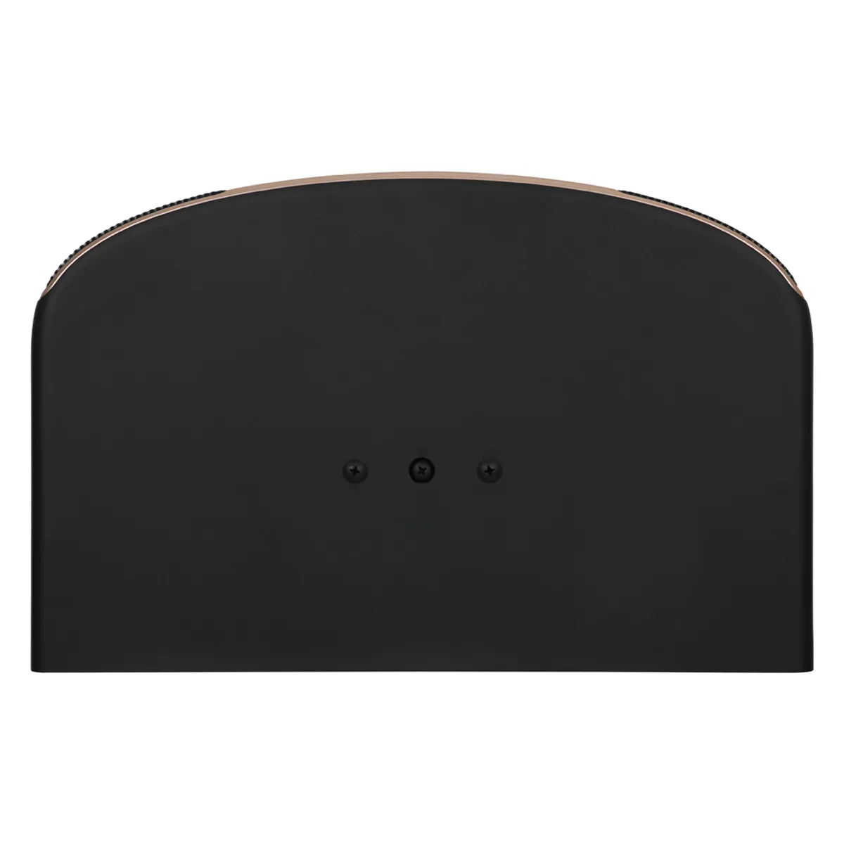 Loa JBL Pasion 12 chính hãng