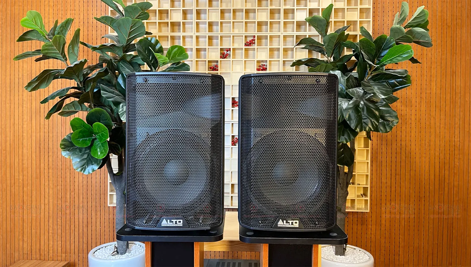 Loa Alto TX310 (Active, Bass 25cm)