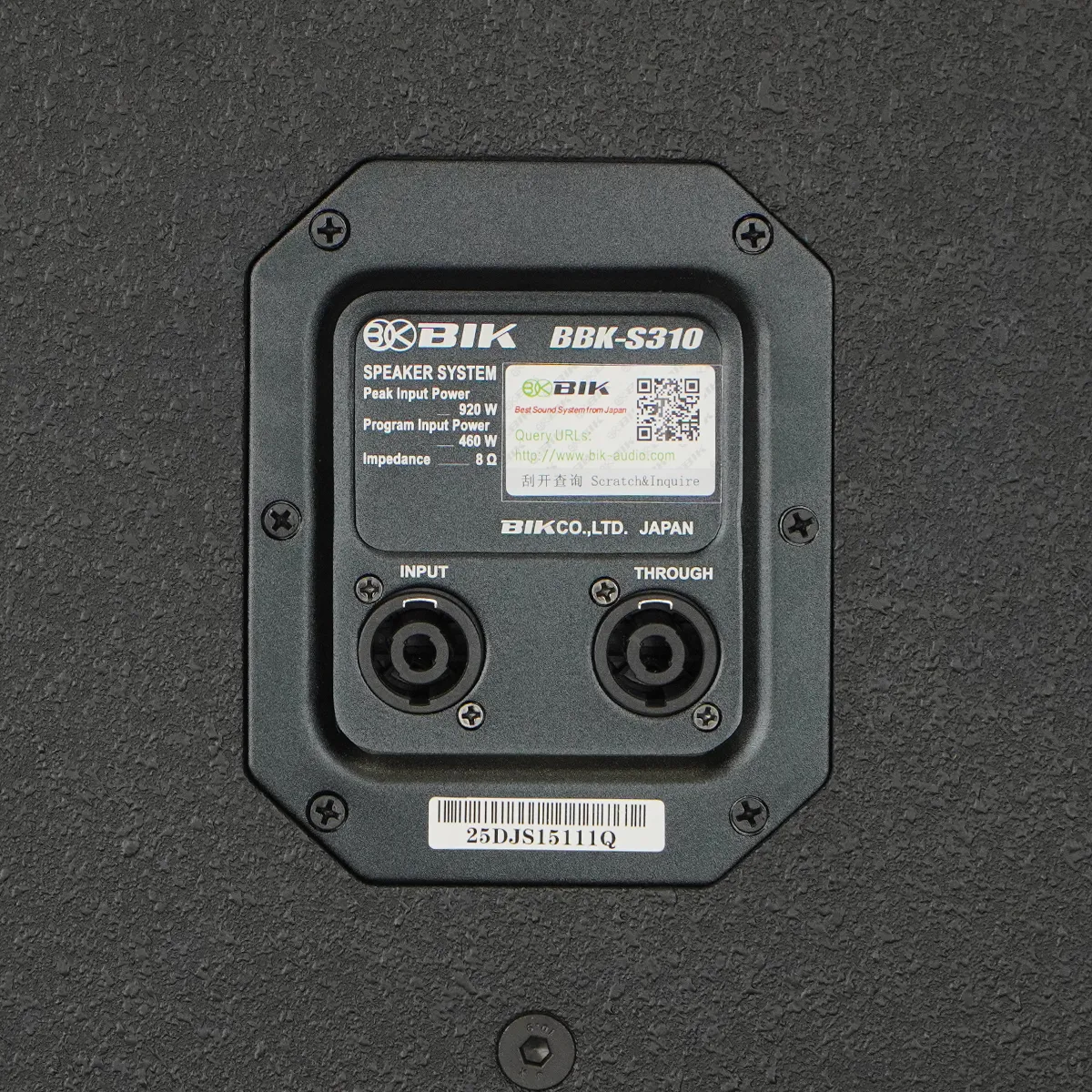 Loa BIK BBK-S310