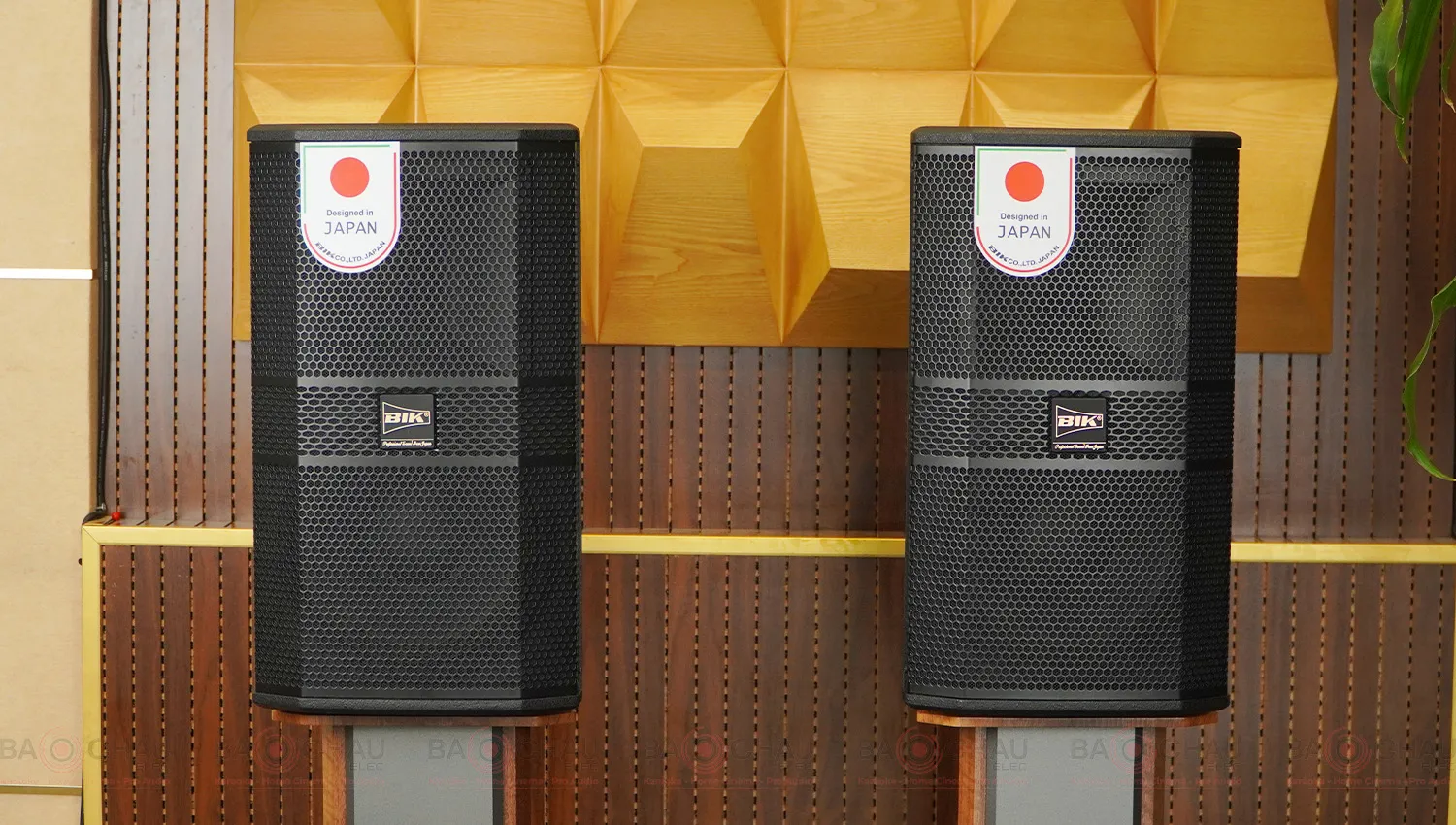 Loa karaoke Nhật BIK BBK-S310