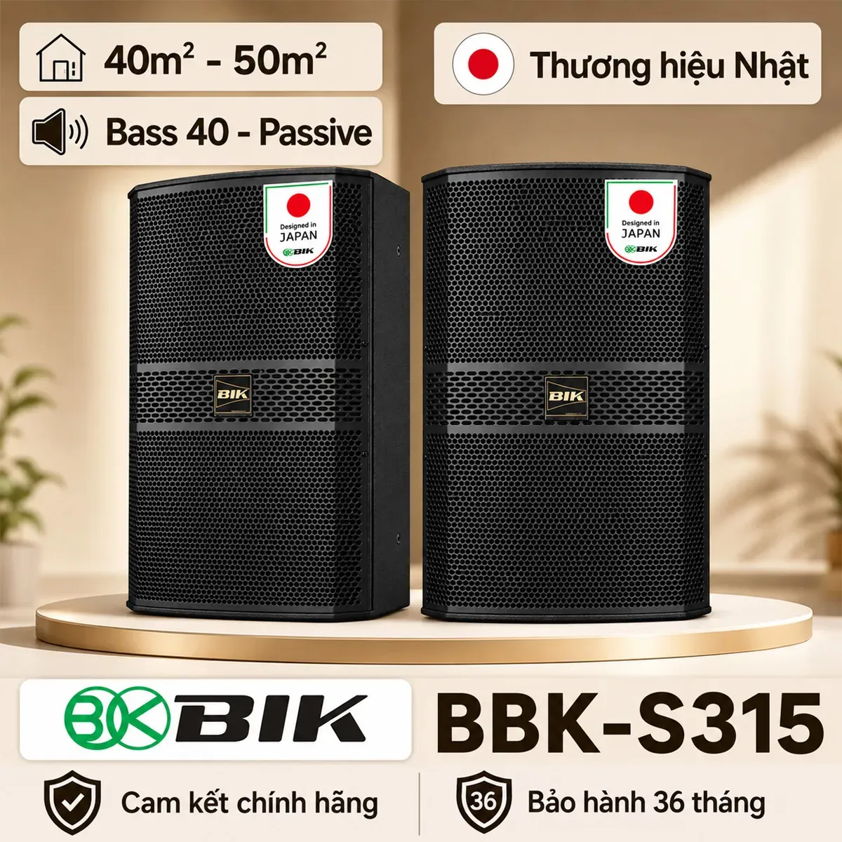 Loa karaoke Nhật BIK BBK-S315