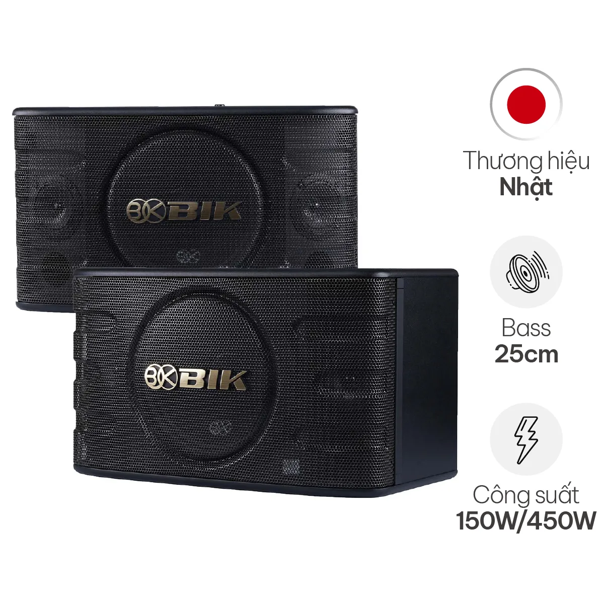Loa Karaoke Nhật BIK BJ S668 (Bass 25cm)